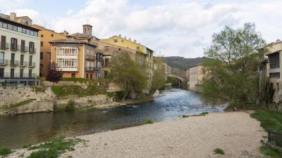 Visita guiada a Estella-Lizarra