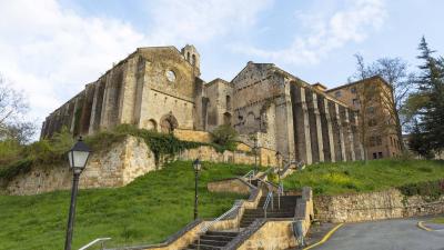 Visite guidée à Estella-Lizarra