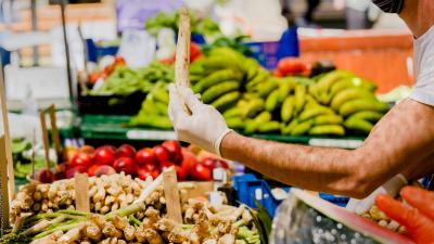 Feria del espárrago de Dicastillo