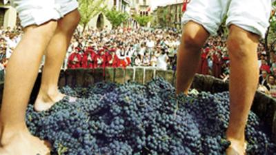 Fiesta de la vendimia de Navarra
