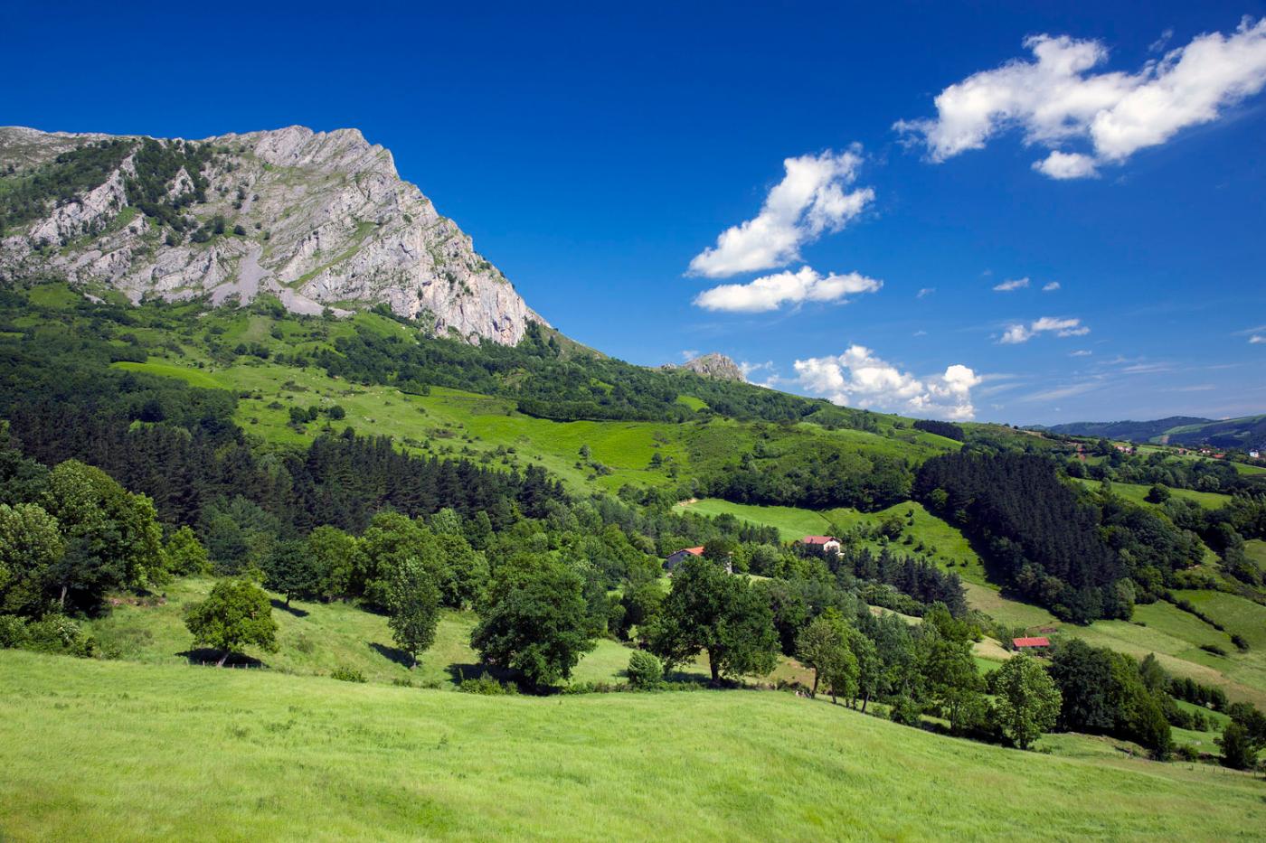 Paisaje verde con caseríos diseminados