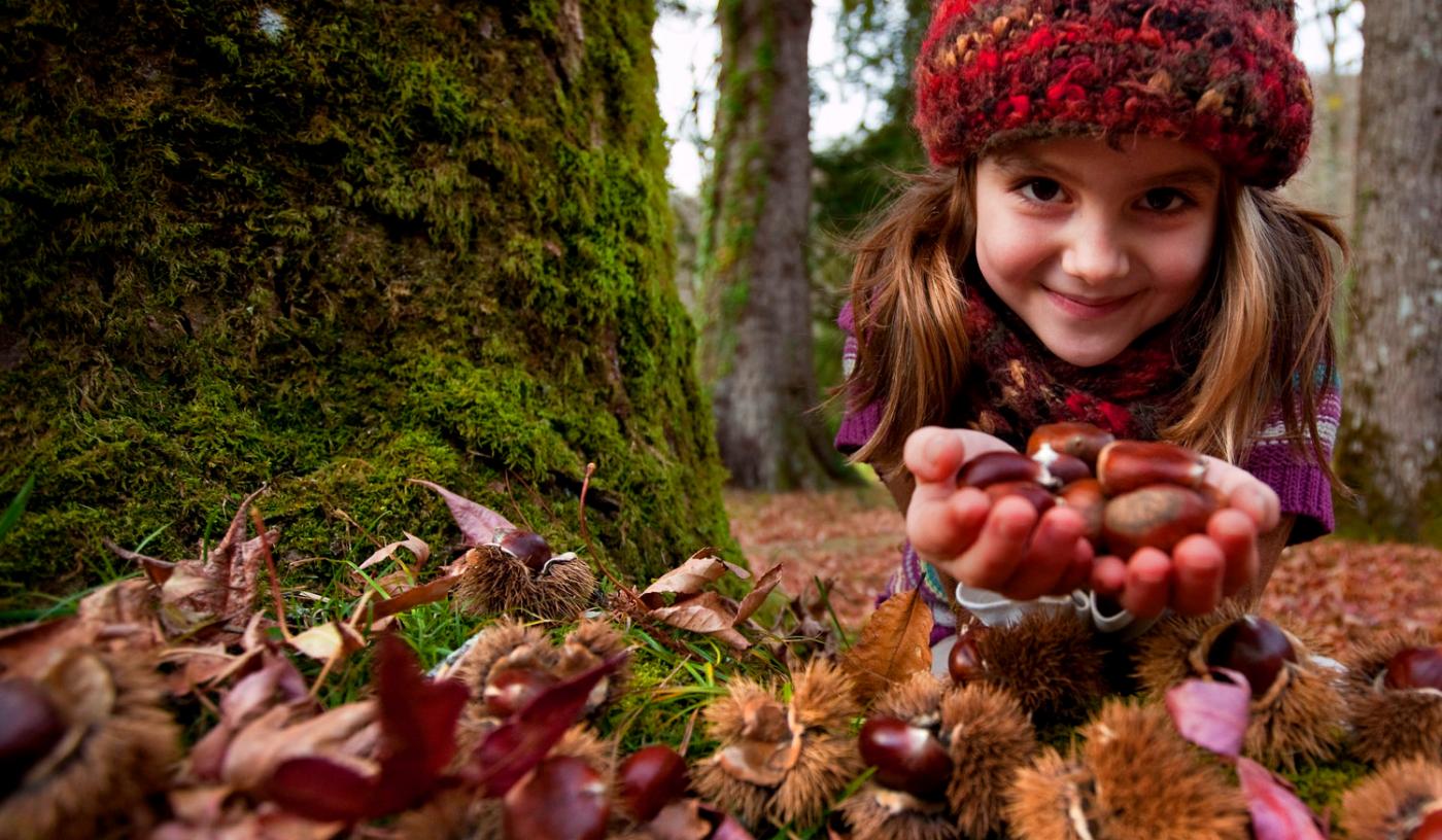 Girl with chestnuts in the forest