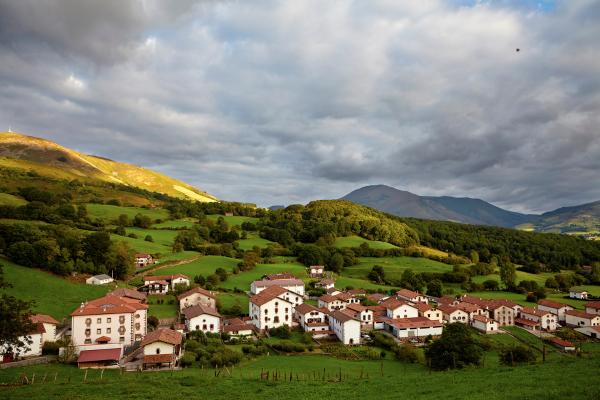 Village with white houses