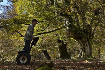 Chico en segway por un bosque