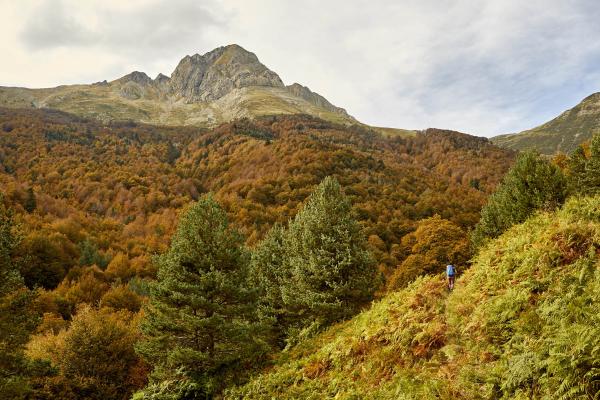 Landscape with the mountain in ochre tones