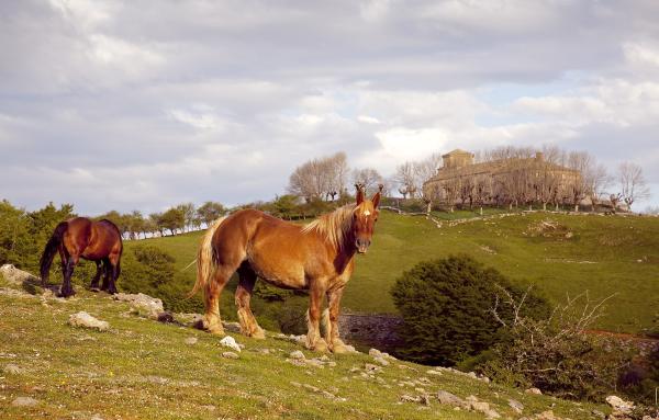 Chevaux et sanctuaire de San Miguel de Aralar