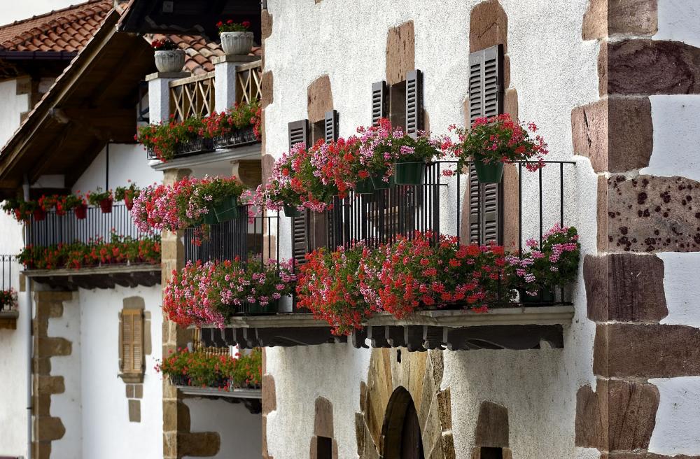 Détail du balcon avec des fleurs à Iraizotz