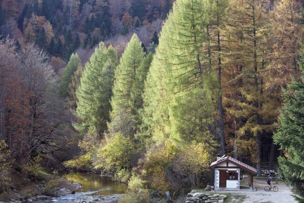 Bosque y punto de información en Irati