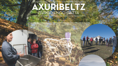 Visita agroecológica al rebaño y quesería Axuribeltz