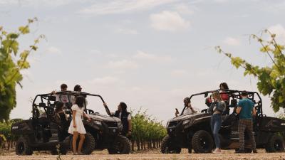 Visit the Malón de Echaide vineyards in a buggy or 4x4