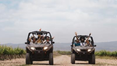 Bisitatu Malón de Echaide mahastiak buggiean edo 4x4an