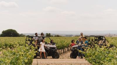 Visita viñedos Malón de Echaide en buggie o 4x4